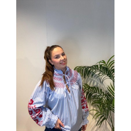 Blusa Celeste Bordados | Blusa Mujer