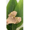 Chanclas Beige | Chanclas Mujer