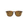 Gafas Jet Animal Print | Gafas Sol | Gafas Mujer